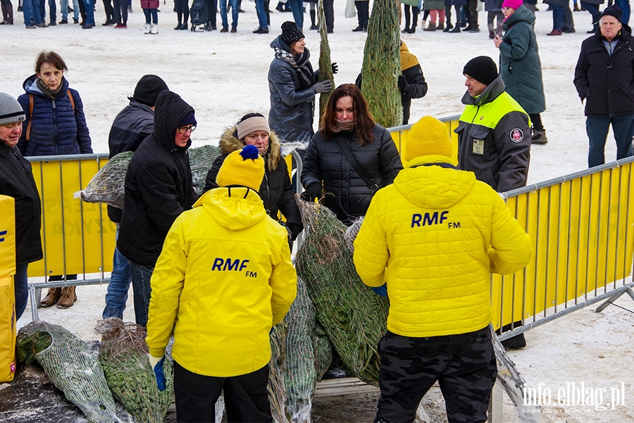 Konwj RMF FM zawita do Elblga. Rozdano 500 drzewek, chtnych byo wicej, fot. 9