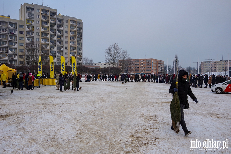 Konwj RMF FM zawita do Elblga. Rozdano 500 drzewek, chtnych byo wicej, fot. 12