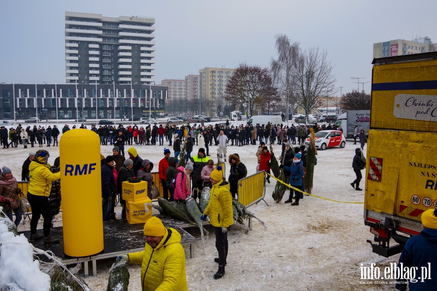 Konwój RMF FM zawitał do Elbląga. Rozdano 500 drzewek, chętnych było więcej, fot. 24