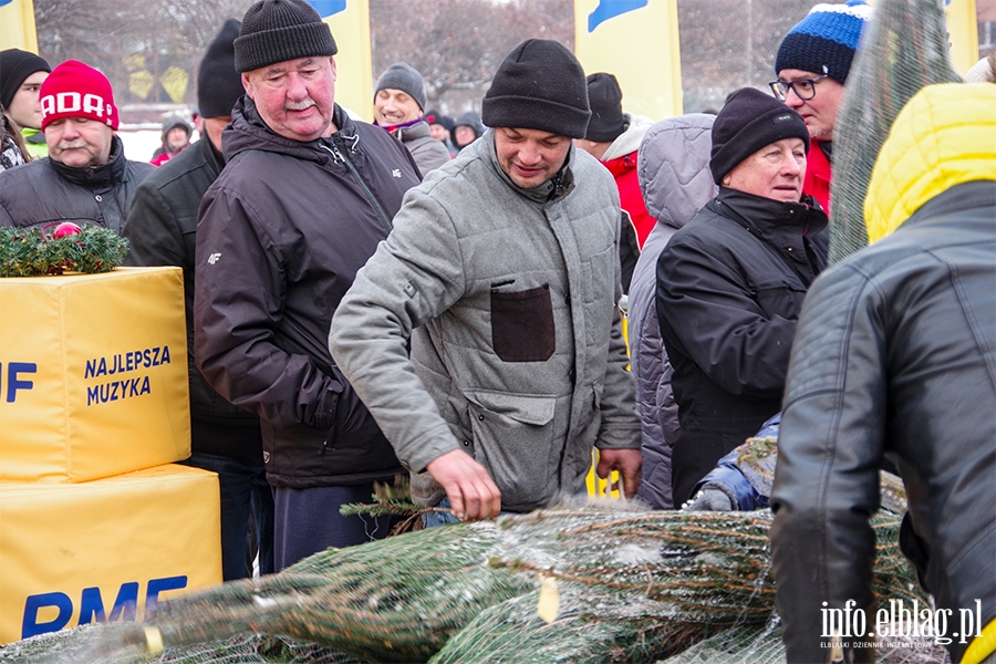 Konwj RMF FM zawita do Elblga. Rozdano 500 drzewek, chtnych byo wicej, fot. 31