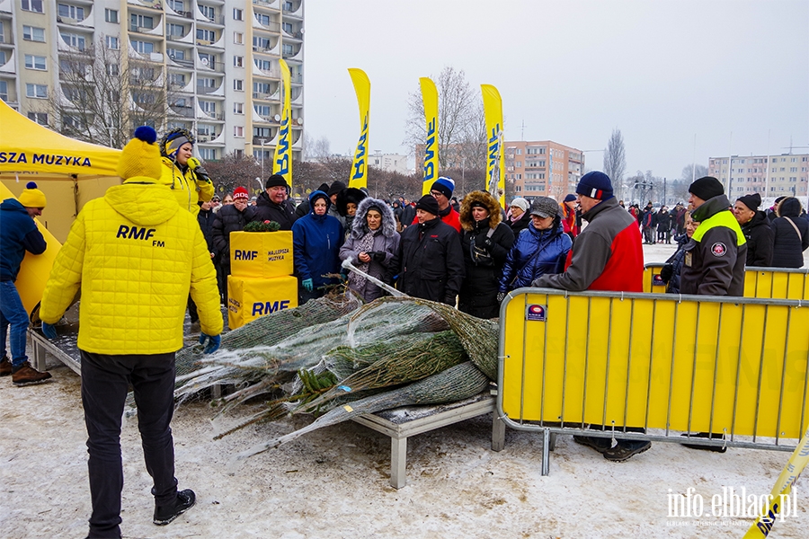 Konwj RMF FM zawita do Elblga. Rozdano 500 drzewek, chtnych byo wicej, fot. 32