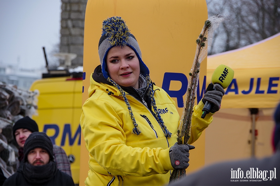 Konwj RMF FM zawita do Elblga. Rozdano 500 drzewek, chtnych byo wicej, fot. 33