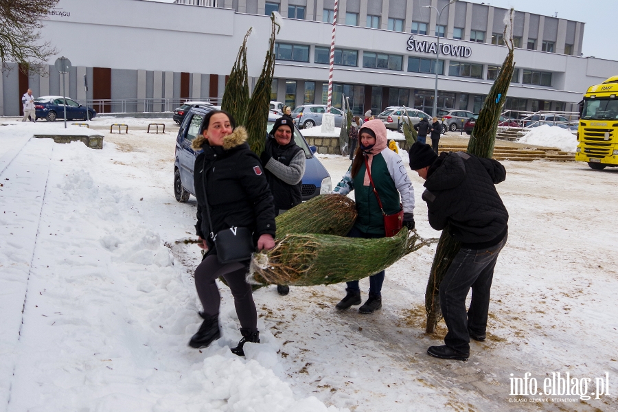 Konwj RMF FM zawita do Elblga. Rozdano 500 drzewek, chtnych byo wicej, fot. 36