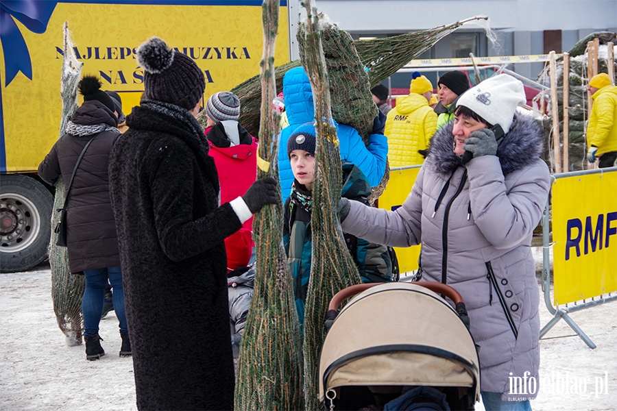 Konwj RMF FM zawita do Elblga. Rozdano 500 drzewek, chtnych byo wicej, fot. 39