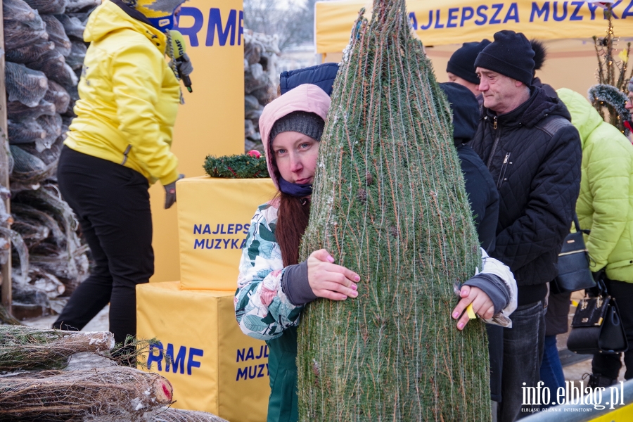 Konwój RMF FM zawitał do Elbląga. Rozdano 500 drzewek, chętnych było więcej, fot. 41