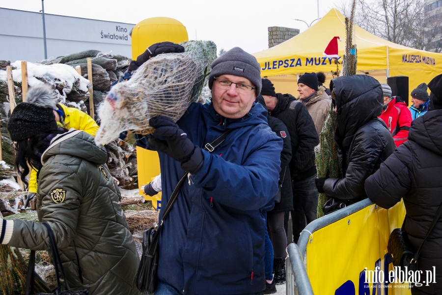 Konwj RMF FM zawita do Elblga. Rozdano 500 drzewek, chtnych byo wicej, fot. 42