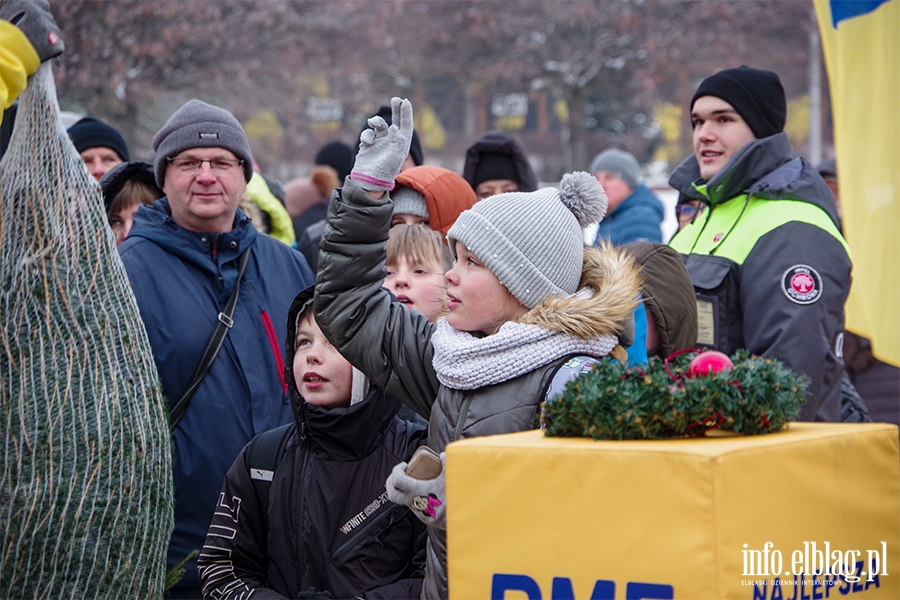 Konwj RMF FM zawita do Elblga. Rozdano 500 drzewek, chtnych byo wicej, fot. 43