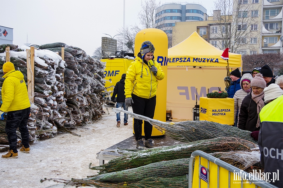 Konwój RMF FM zawitał do Elbląga. Rozdano 500 drzewek, chętnych było więcej, fot. 46