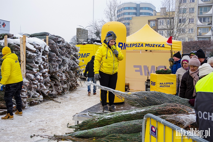 Konwj RMF FM zawita do Elblga. Rozdano 500 drzewek, chtnych byo wicej, fot. 46