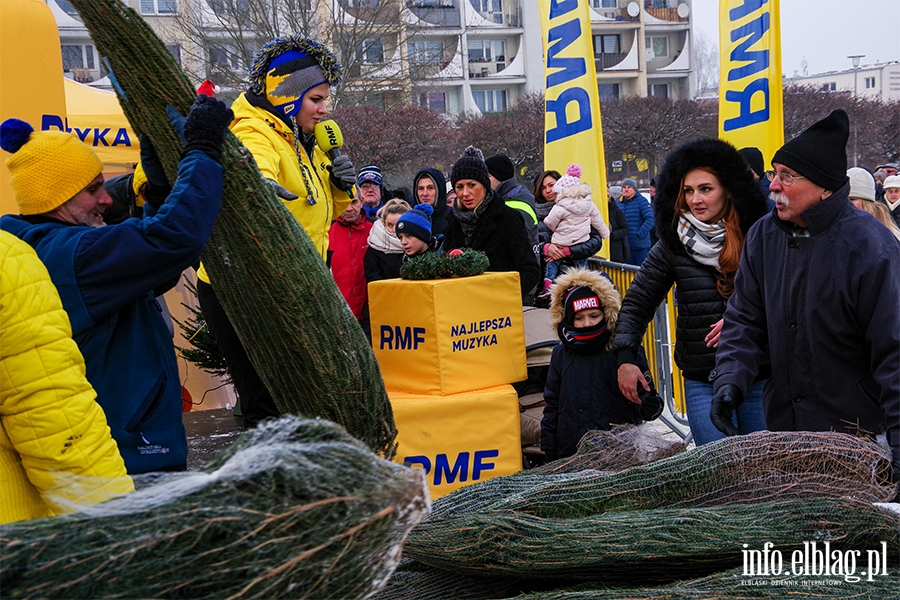 Konwój RMF FM zawitał do Elbląga. Rozdano 500 drzewek, chętnych było więcej, fot. 54