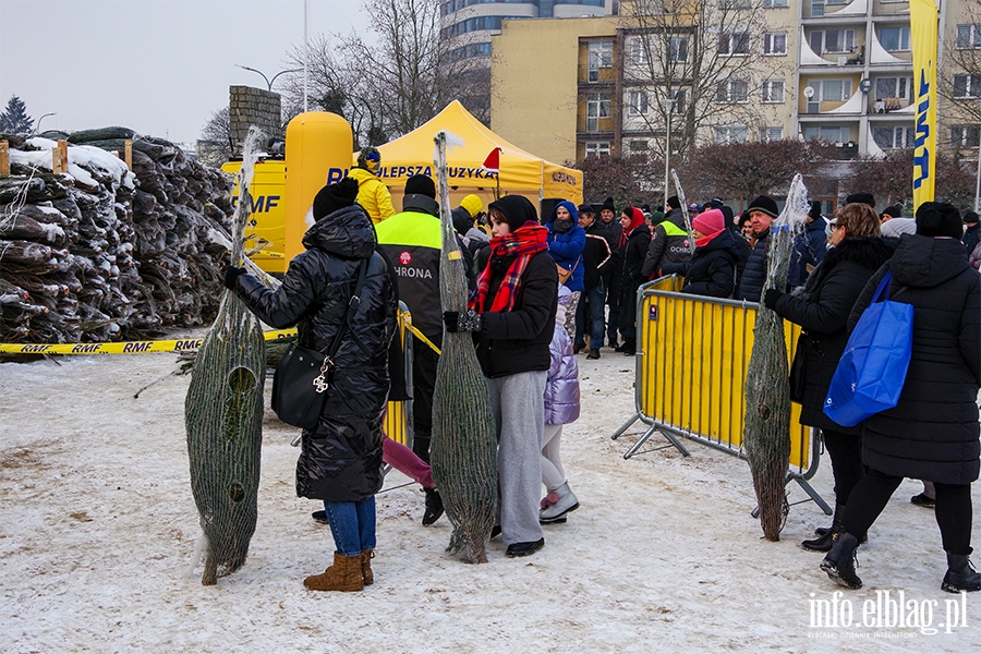 Konwój RMF FM zawitał do Elbląga. Rozdano 500 drzewek, chętnych było więcej, fot. 57