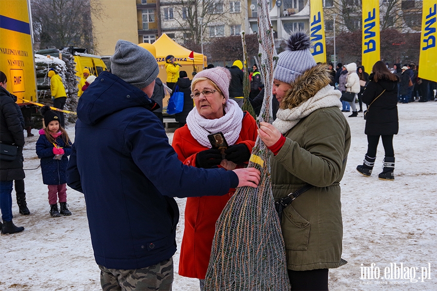 Konwj RMF FM zawita do Elblga. Rozdano 500 drzewek, chtnych byo wicej, fot. 60