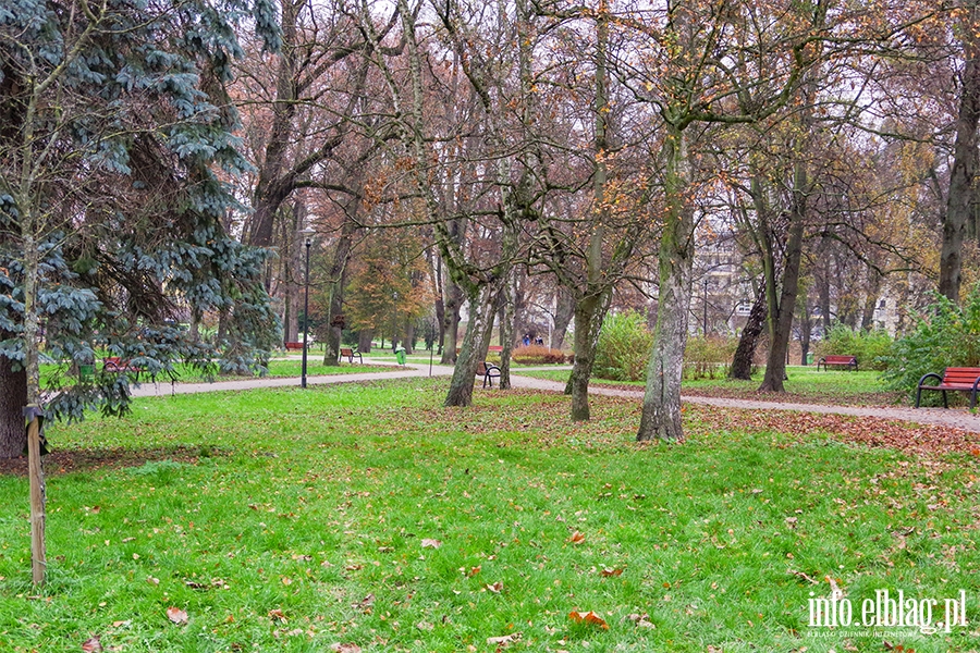 PARK TRAUGUTTA, fot. 31