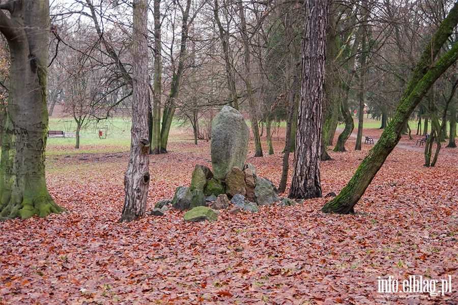 Park Modrzewie, fot. 2