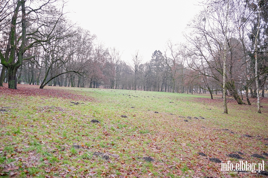Park Modrzewie, fot. 9