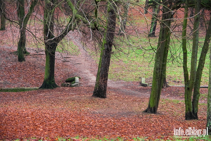 Park Modrzewie, fot. 25