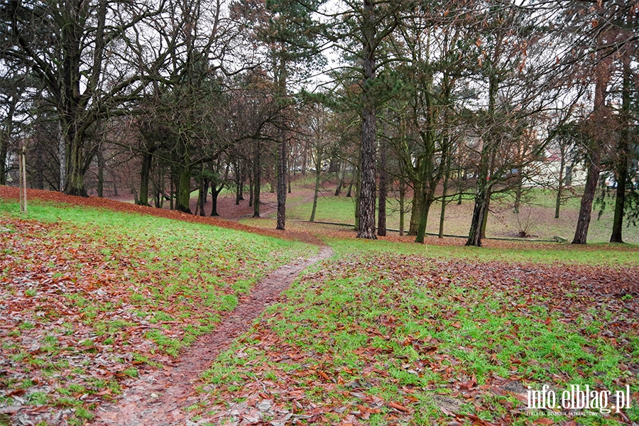 Park Modrzewie, fot. 27