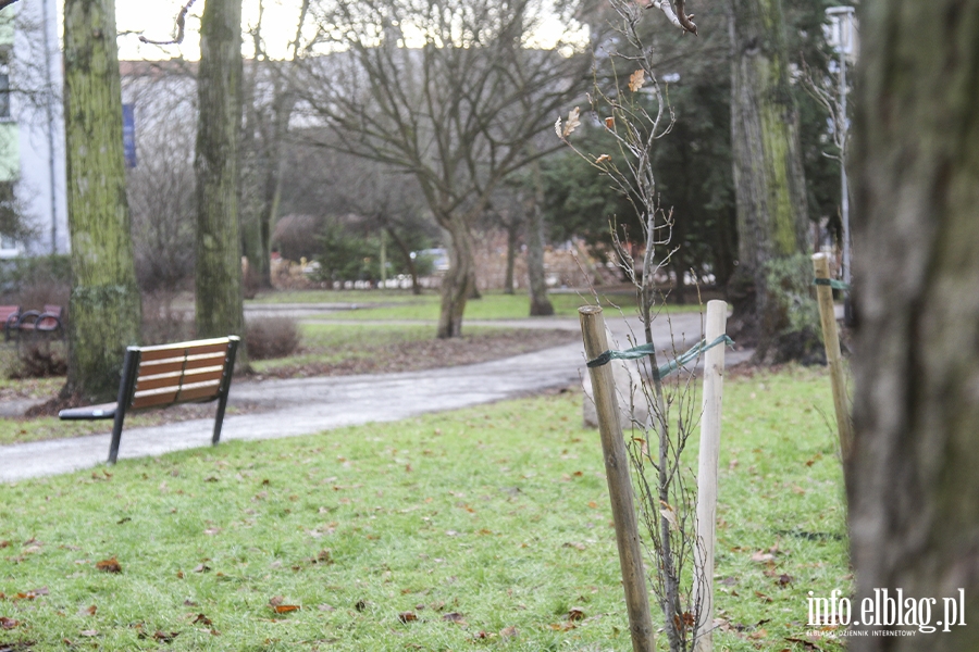 Park Planty, fot. 38