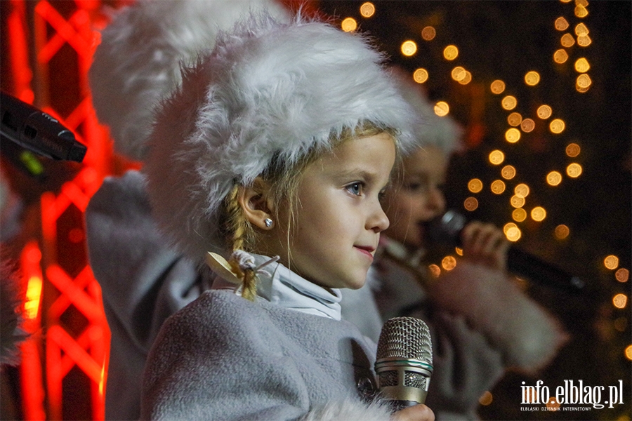 Elblg: Muzyczna magia. Za nami koncert witeczny Szalonych Maolat , fot. 19