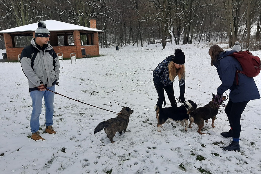 Dzikujemy Wam za udzia w dzisiejszym Noworocznym Biegu na 6 ap, fot. 12