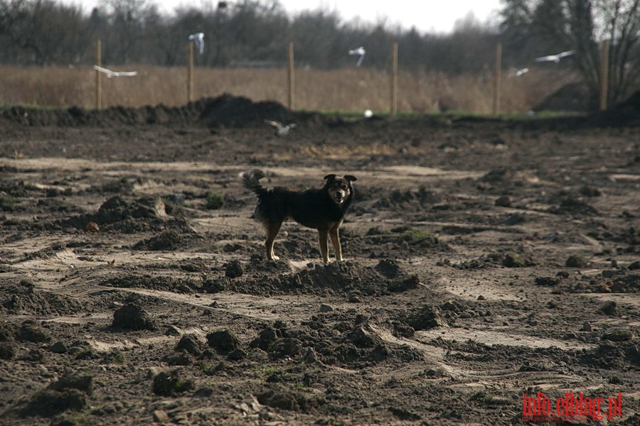 Przebudowa i rozbudowa obiektu pikarskiego przy ul. Skrzydlatej, fot. 14