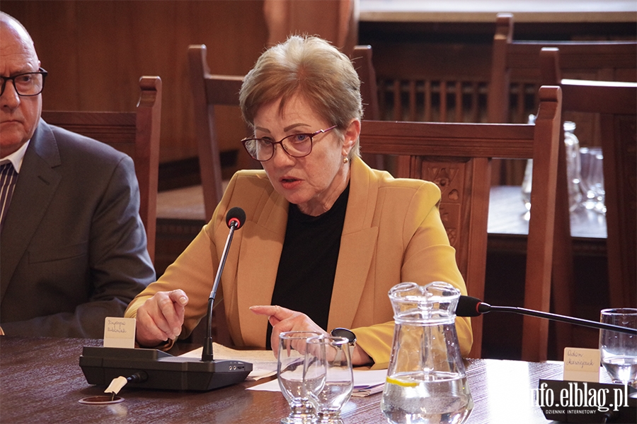 Przypominano sobie o mieszkacach? Radni chc zapyta elblan o przyszo portu, fot. 5