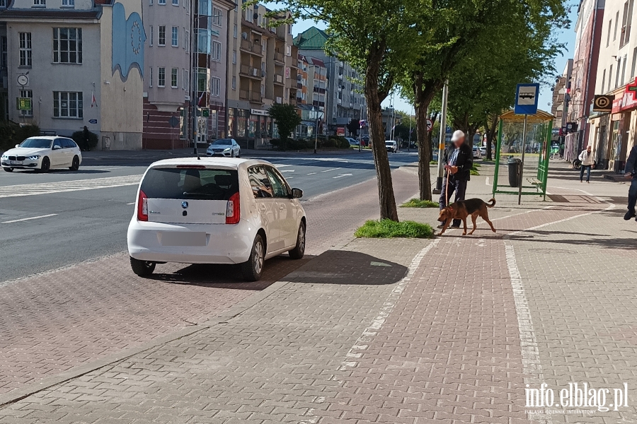Mistrzowie parkowania w Elblągu (część 251), fot. 1