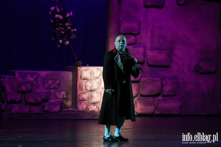 Premiera " Piękna I Bestia " w elbląskim teatrze, fot. 45