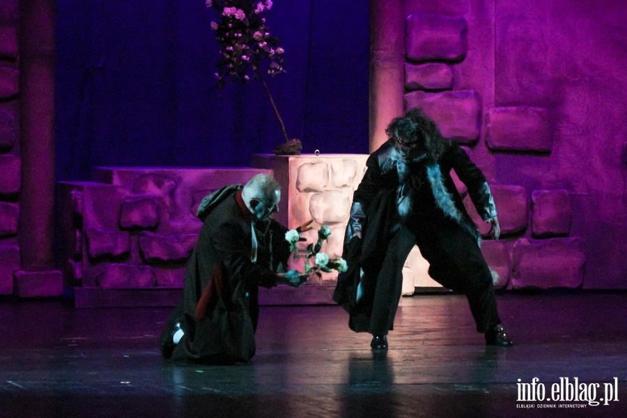 Premiera " Pikna I Bestia " w elblskim teatrze, fot. 46