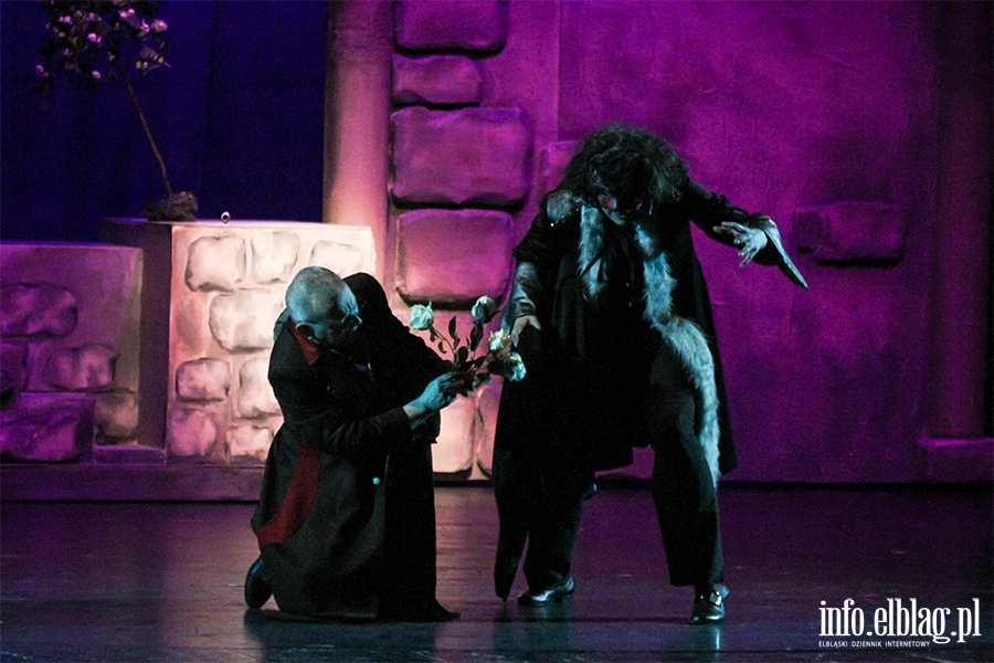 Premiera " Pikna I Bestia " w elblskim teatrze, fot. 48