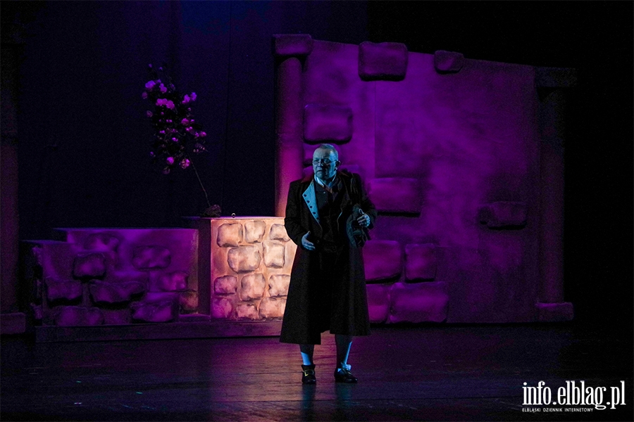 Premiera " Pikna I Bestia " w elblskim teatrze, fot. 99