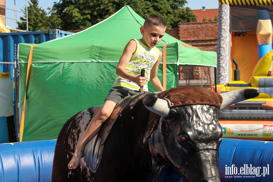 Elbląg: Mistrzostwa w ujeżdżaniu byka atrakcją USĄ, fot. 36
