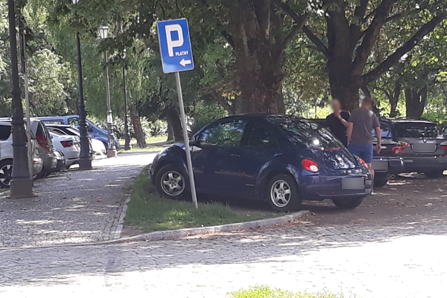 Mistrzowie parkowania w Elblgu (cz 269), fot. 8