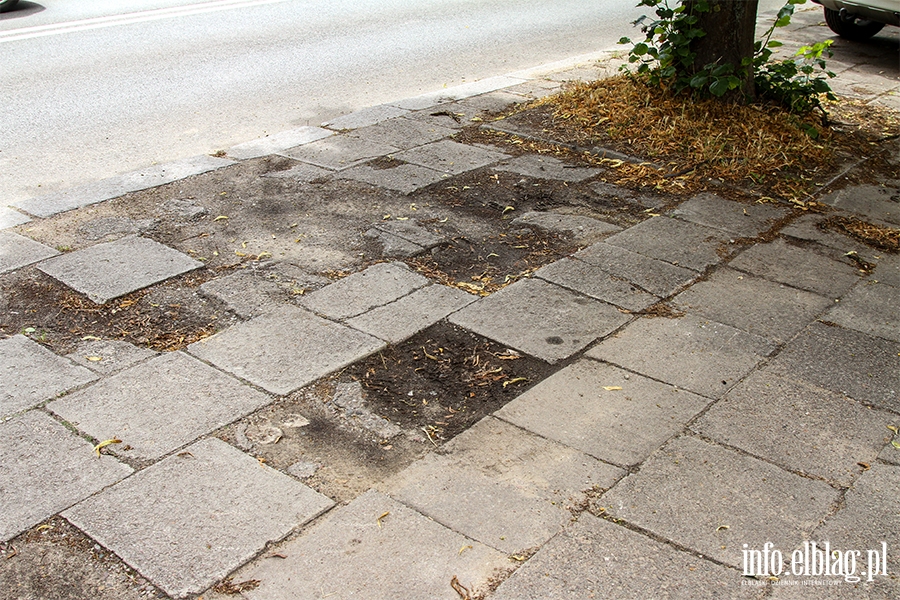 Zaniedbane ulice Elblga. Ulica Krlewiecka, fot. 45
