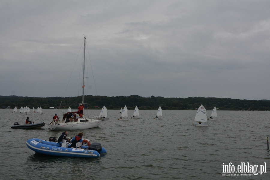 Jachtklub Elbląg - Regaty klasy Optimist - Puchar Mariny Elbląg, fot. 31