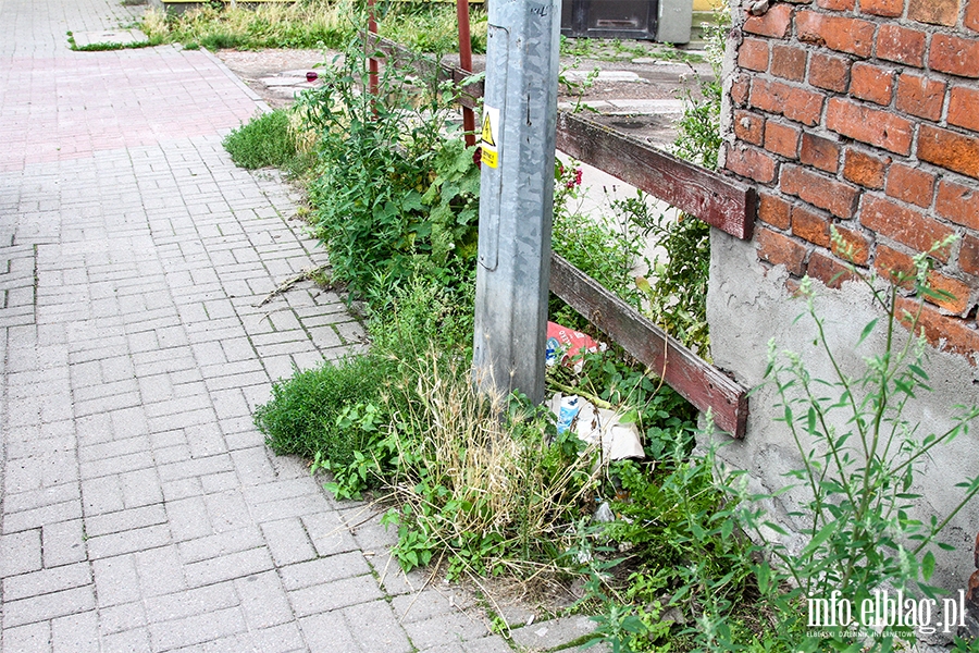 Zaniedbane ulice Elblga: Polna i Ogrodowa, fot. 19