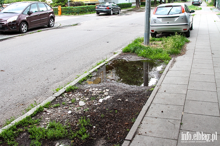 Zaniedbane ulice Elbląga: Polna i Ogrodowa, fot. 22