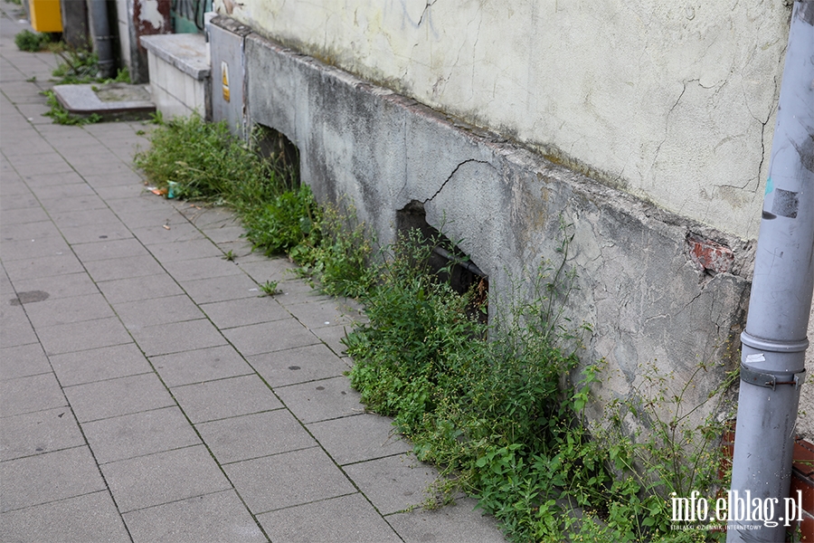 Zaniedbane ulice Elblga: Browarna, fot. 39