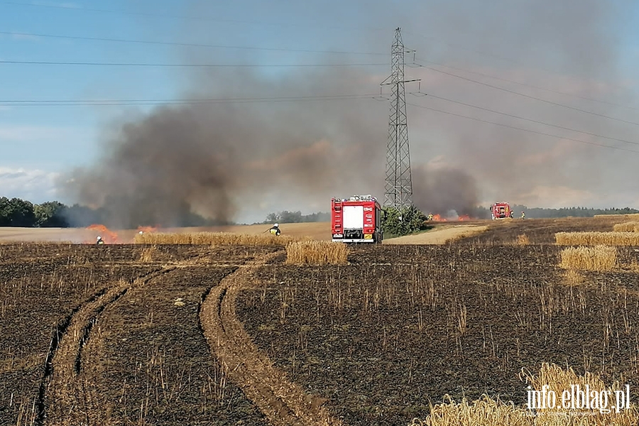 Pożar maszyny rolniczej, rżyska słomy i zboża na pniu - Lipowina gm. Braniewo, fot. 12
