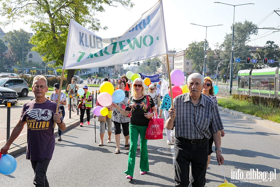 Seniorzy przejli Elblg. Przemarsz na pocztek tygodnia penego atrakcji , fot. 44