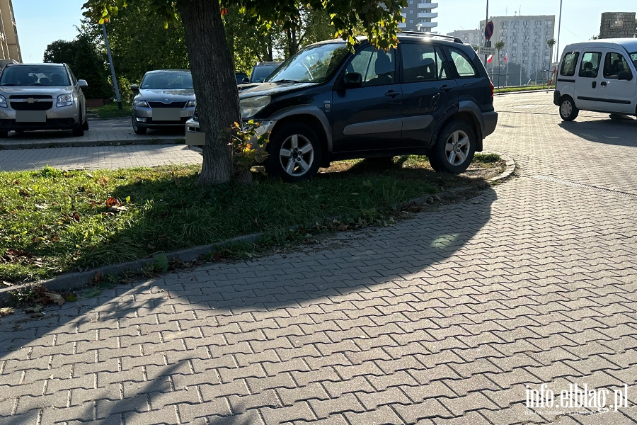 Mistrzowie parkowania w Elblgu (cz 290), fot. 11