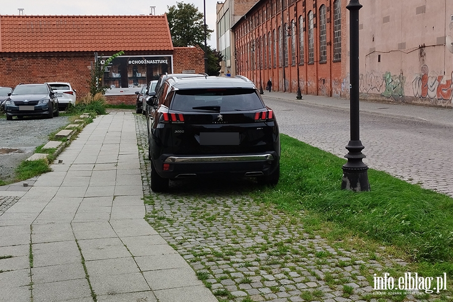 Mistrzowie parkowania w Elblągu (część 296), fot. 11