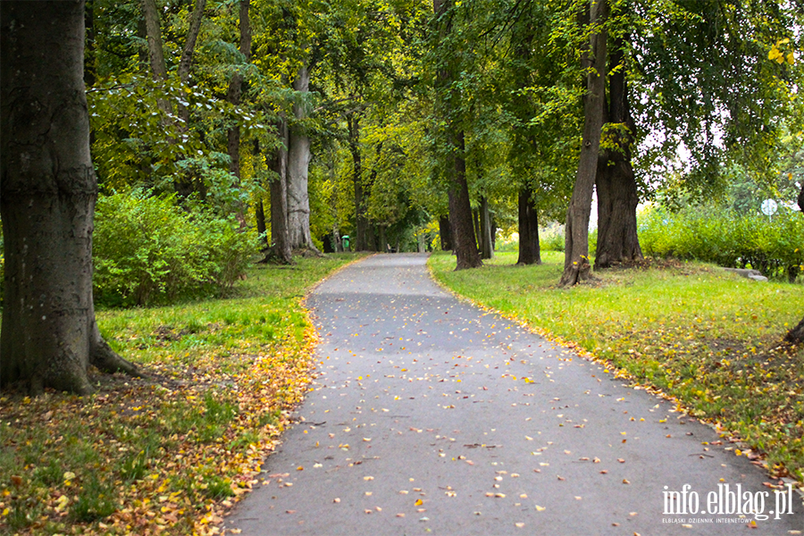 Okręg1. Park Modrzewia, fot. 13
