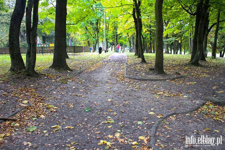 Okręg1. Park Modrzewia, fot. 20