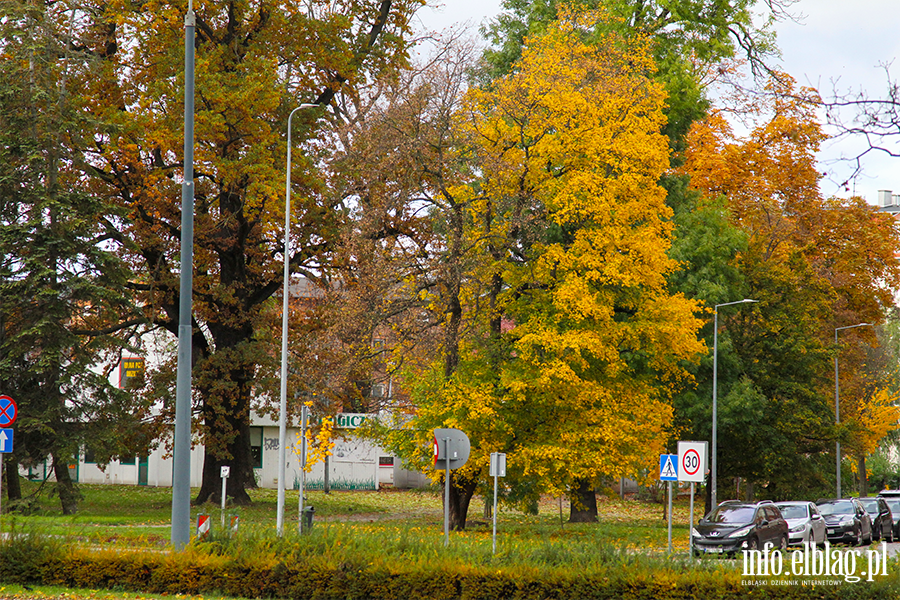 Elbląg Jesienią, fot. 3