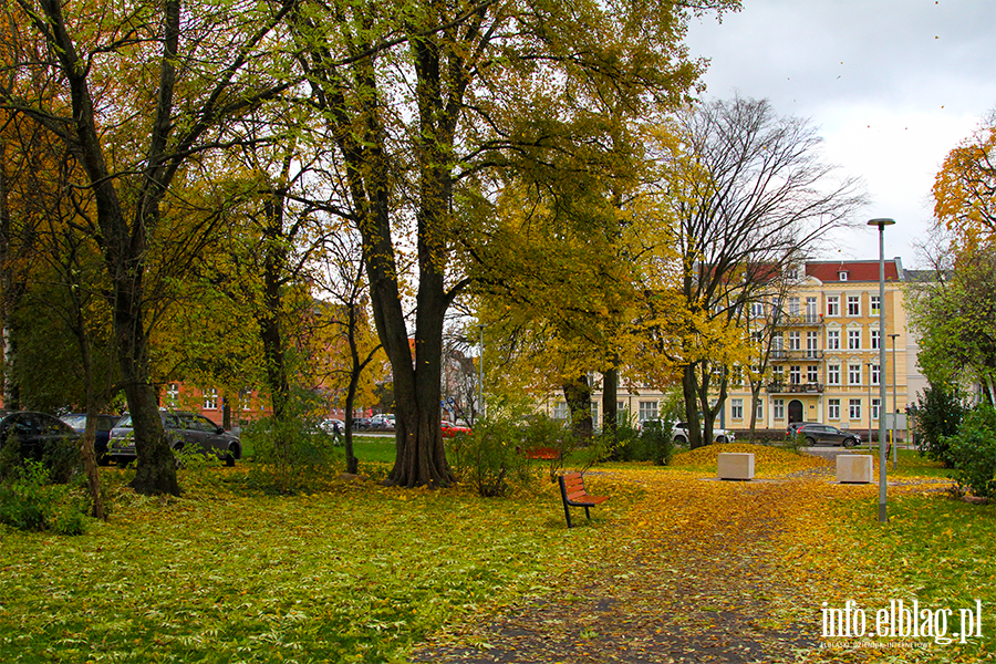 Elbląg Jesienią, fot. 6