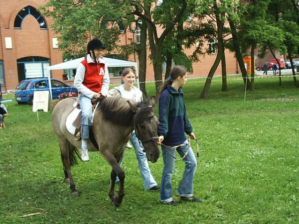 Dni Elblga 2005 (sobota), fot. 31