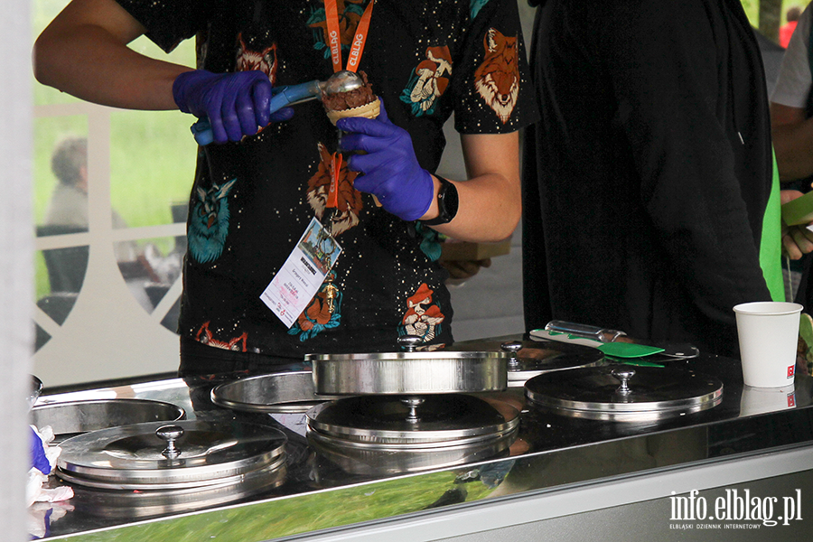 Piknik w Bażantarni, fot. 15