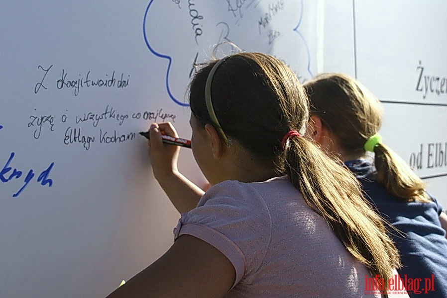 Dni Elbląga 2010 na Wyspie Spichrzów - dzień II, fot. 2