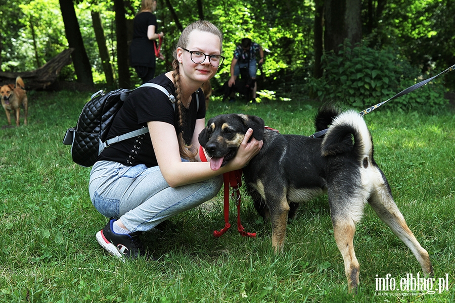 Lipcowy Bieg na 6 łap, fot. 3